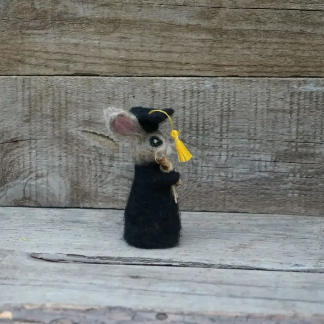 🐰College Cute Gift-Graduation Bunny