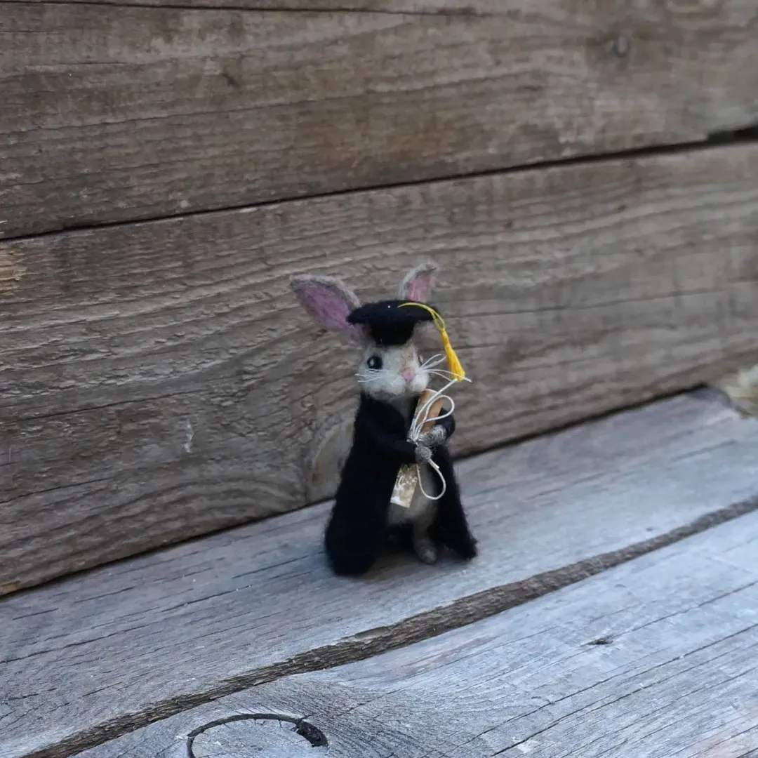 🐰College Cute Gift-Graduation Bunny