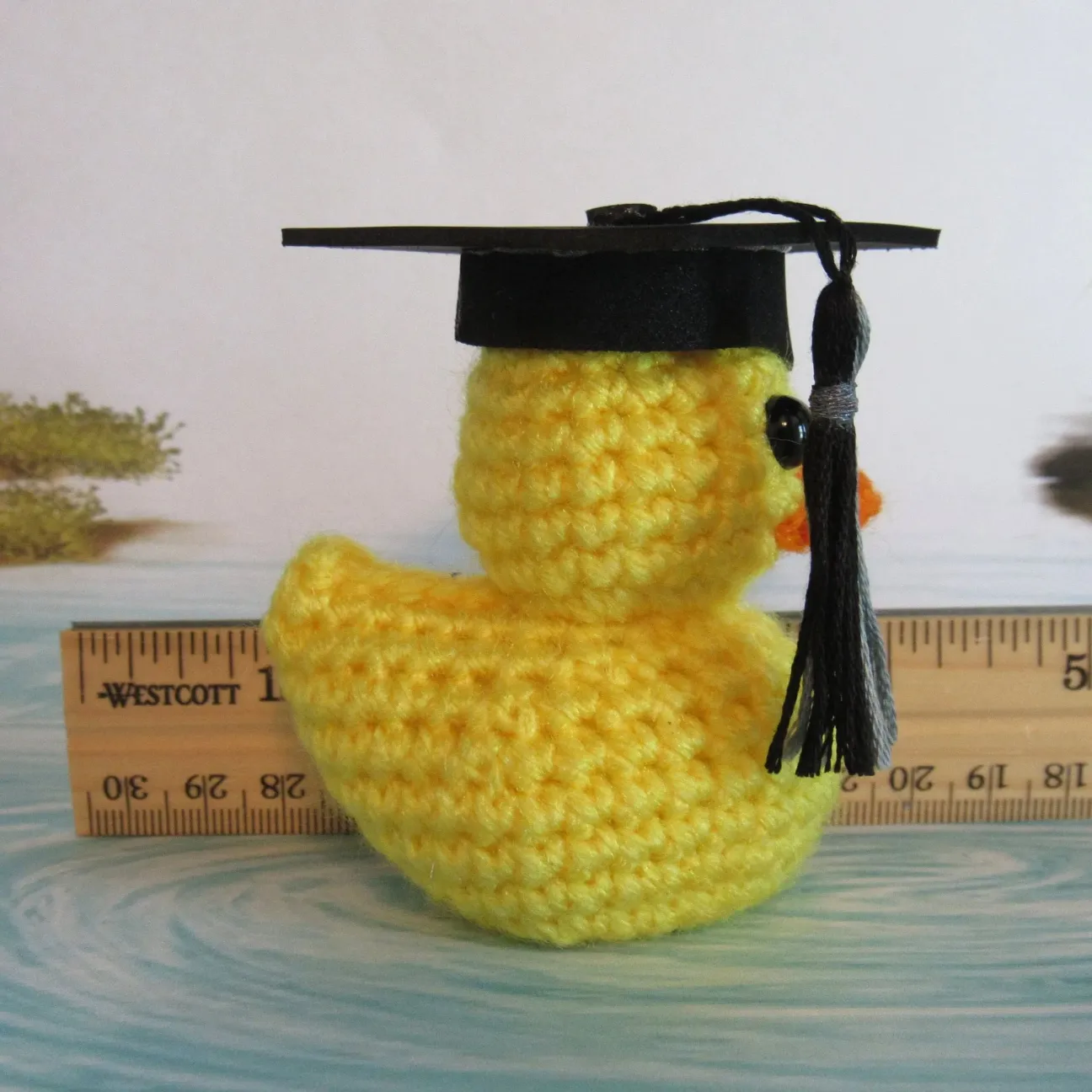 🎓️Graduation Duck