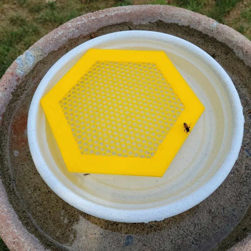  🐝Floating Bee Island