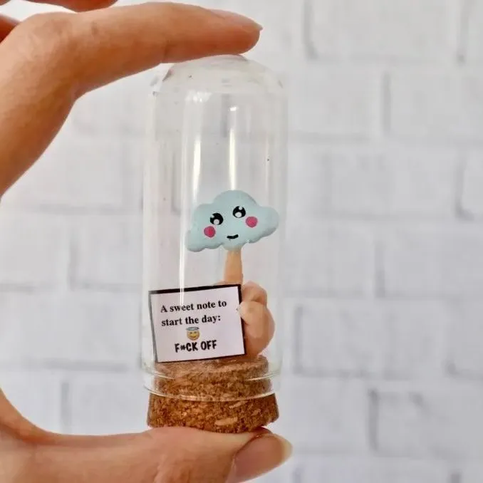 🤣Funny Bottle gift