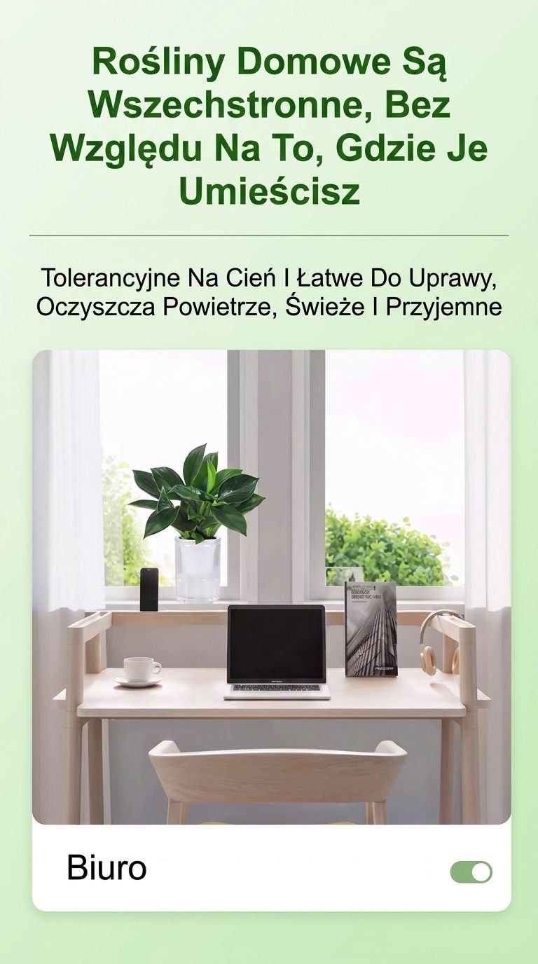Grafika 9 - Wszechstronne rośliny.jpg