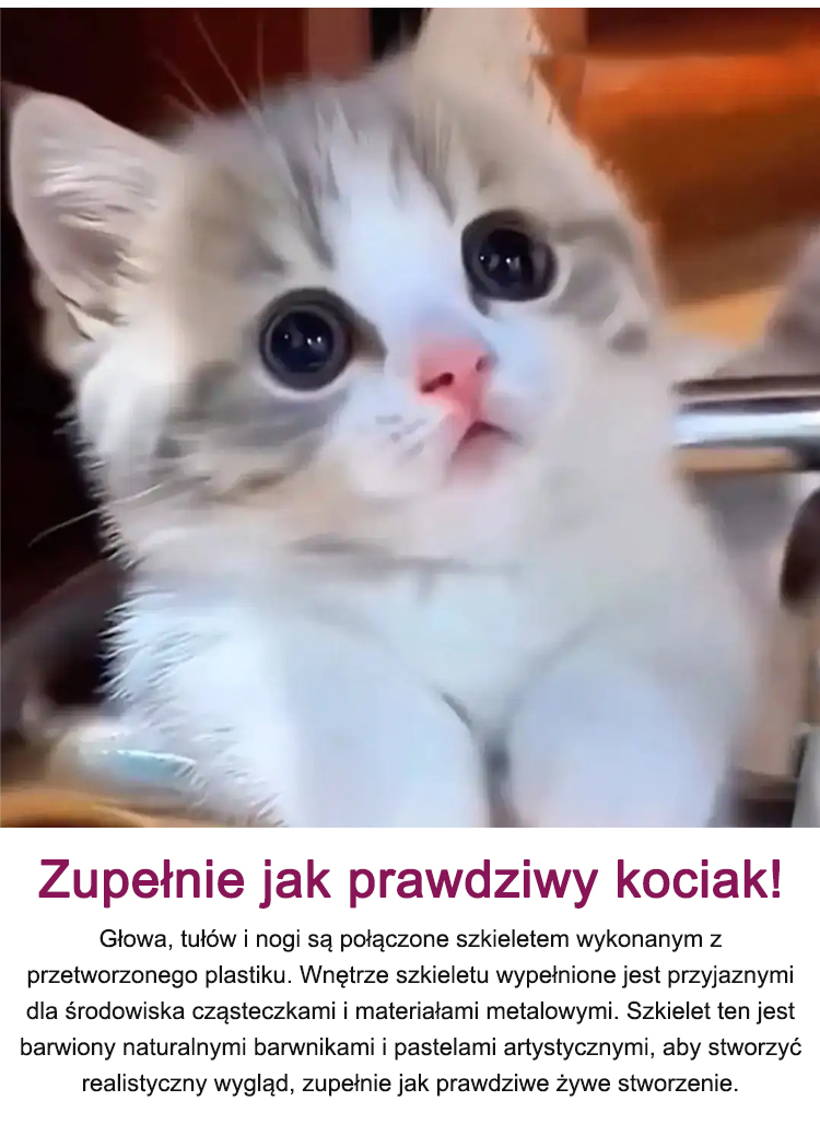 1_11.jpg