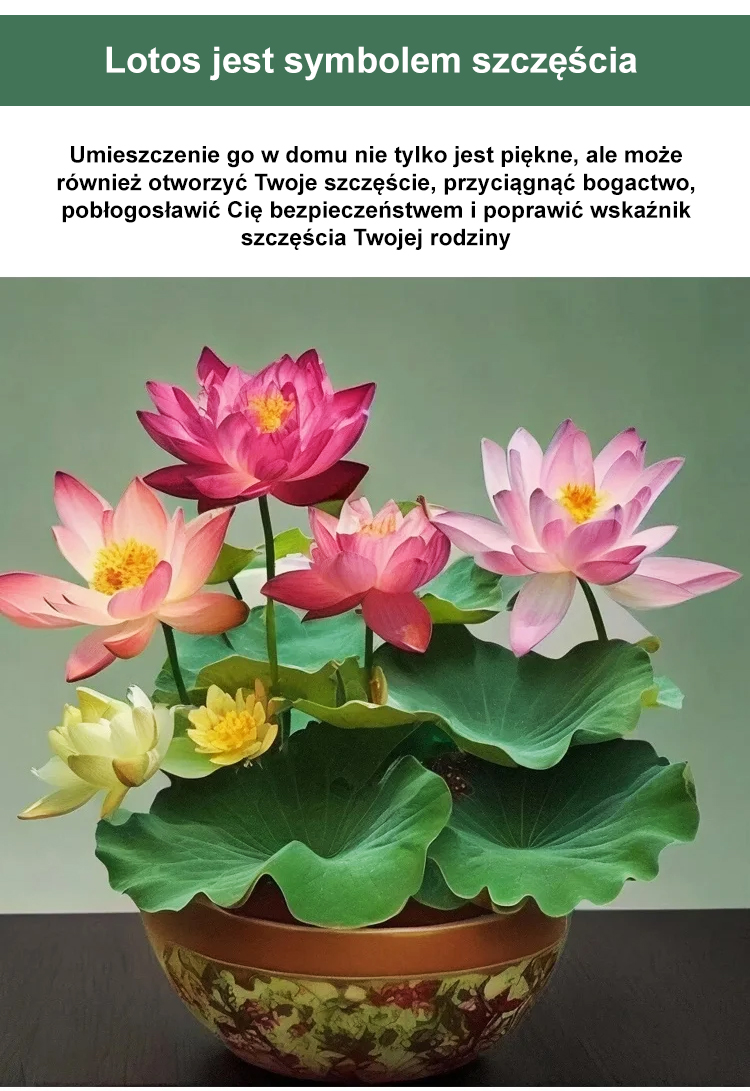 11_05.jpg