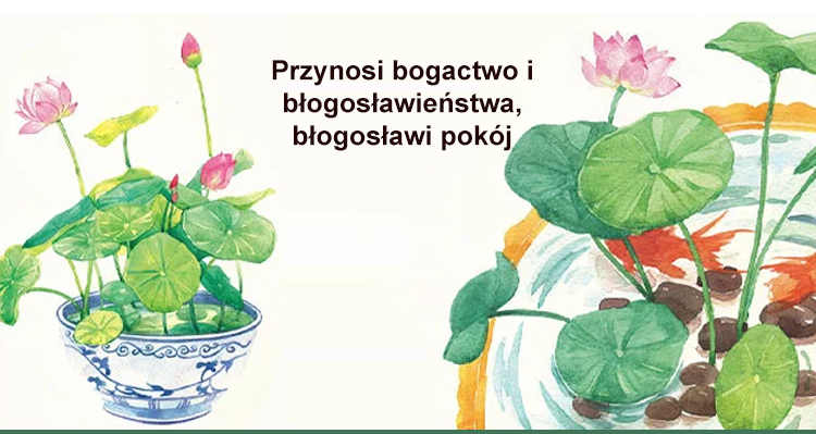 11_02.jpg