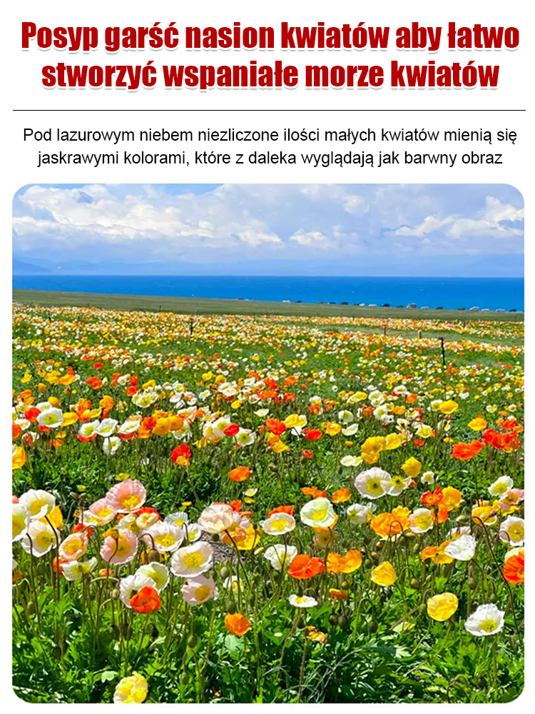 🌸🌸Cztery pory roku kwitnienia - mieszanka nasion kwiatów