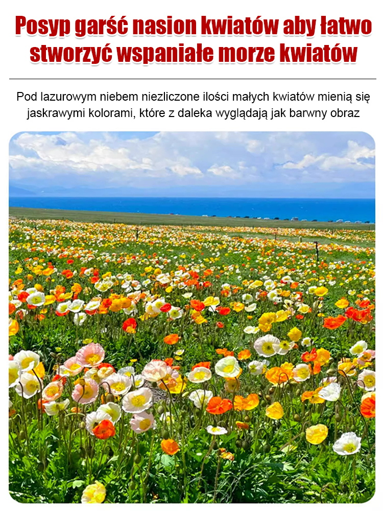 🌸🌸Cztery pory roku kwitnienia - mieszanka nasion kwiatów