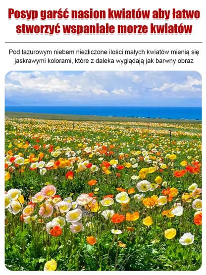 🌸🌸Cztery pory roku kwitnienia - mieszanka nasion kwiatów