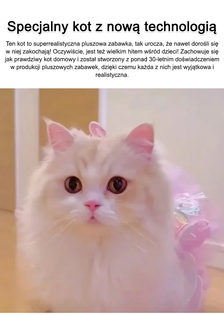 1_06.jpg