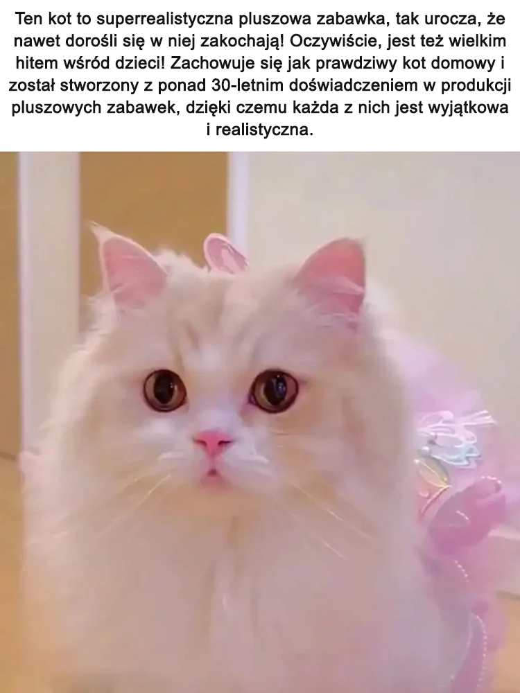 【Nie wymaga karmienia】Prawdziwa elektryczna pluszowa zabawka dla kota. ✨🐱 Będzie zachowywać się wobec Ciebie jak prawdziwy kot