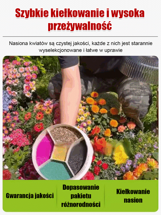 🌸🌸Cztery pory roku kwitnienia - mieszanka nasion kwiatów