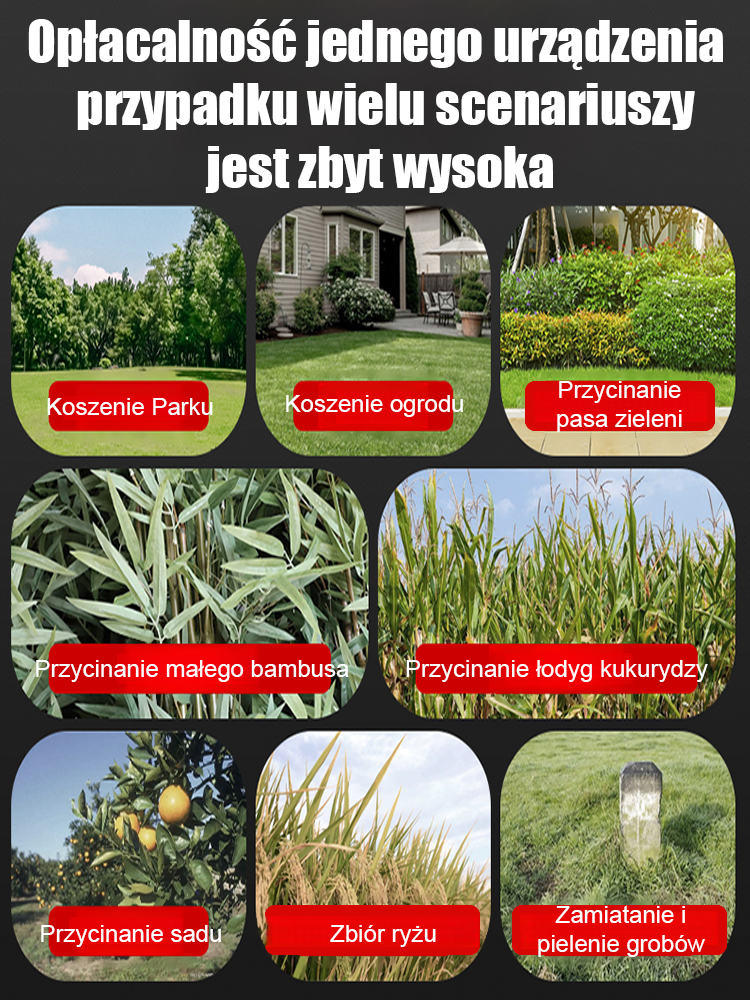 【Koniec z kablami!】Przecina gałęzie jak zapałki! 8 głowic w zestawie poradzi sobie z każdym chwastem.	30 dni na testy. Nie pasuje? Pełny zwrot wpłaty.	