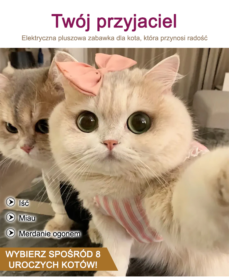 1_03.jpg