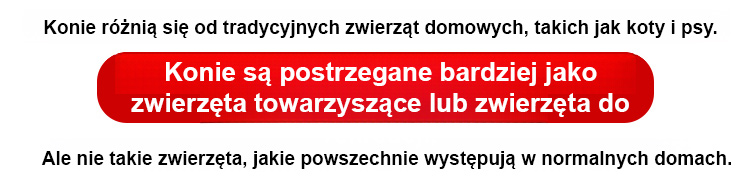 1_03.jpg