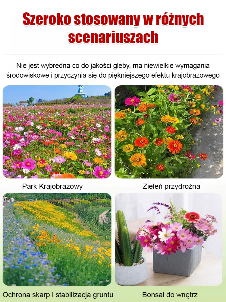 🌸🌸Cztery pory roku kwitnienia - mieszanka nasion kwiatów