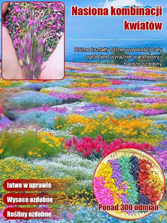 🌸🌸Cztery pory roku kwitnienia - mieszanka nasion kwiatów