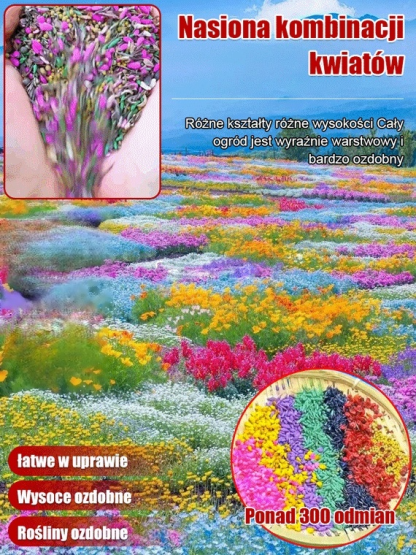 🌸🌸Cztery pory roku kwitnienia - mieszanka nasion kwiatów