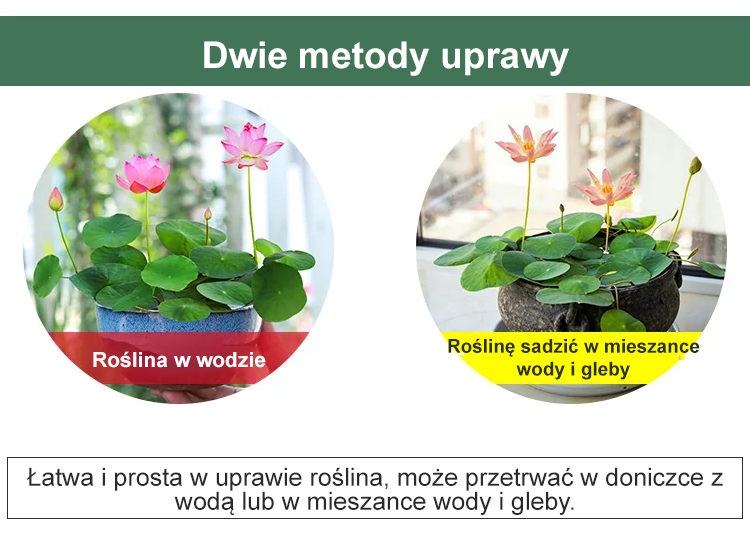 11_09.jpg