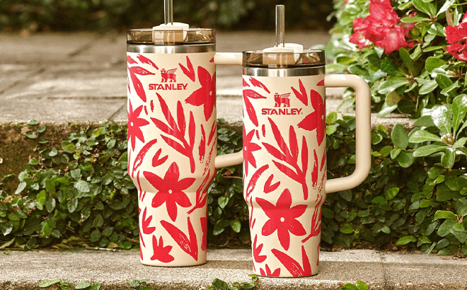 New Stanley Mothers Day Quenchers