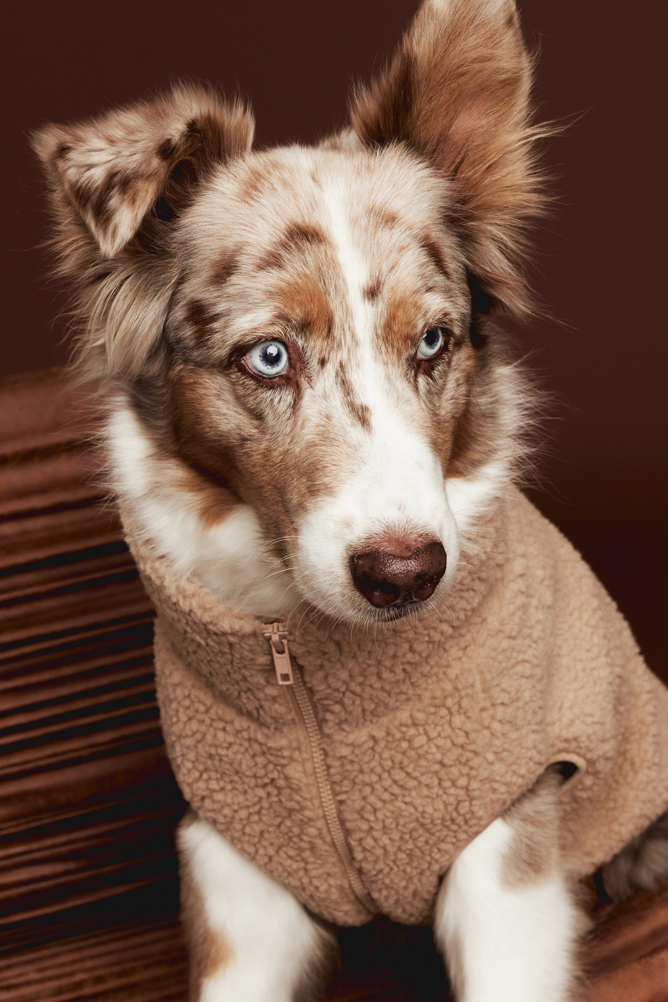 Teddy Fleece Dog Jacket (Buy 2 Free Shipping)