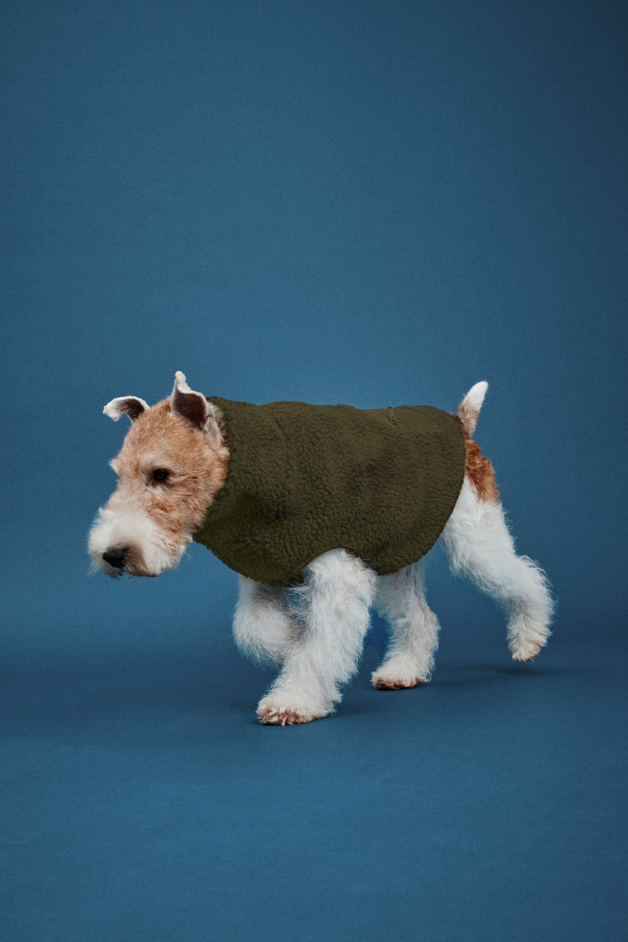 Teddy Fleece Dog Jacket (Buy 2 Free Shipping)