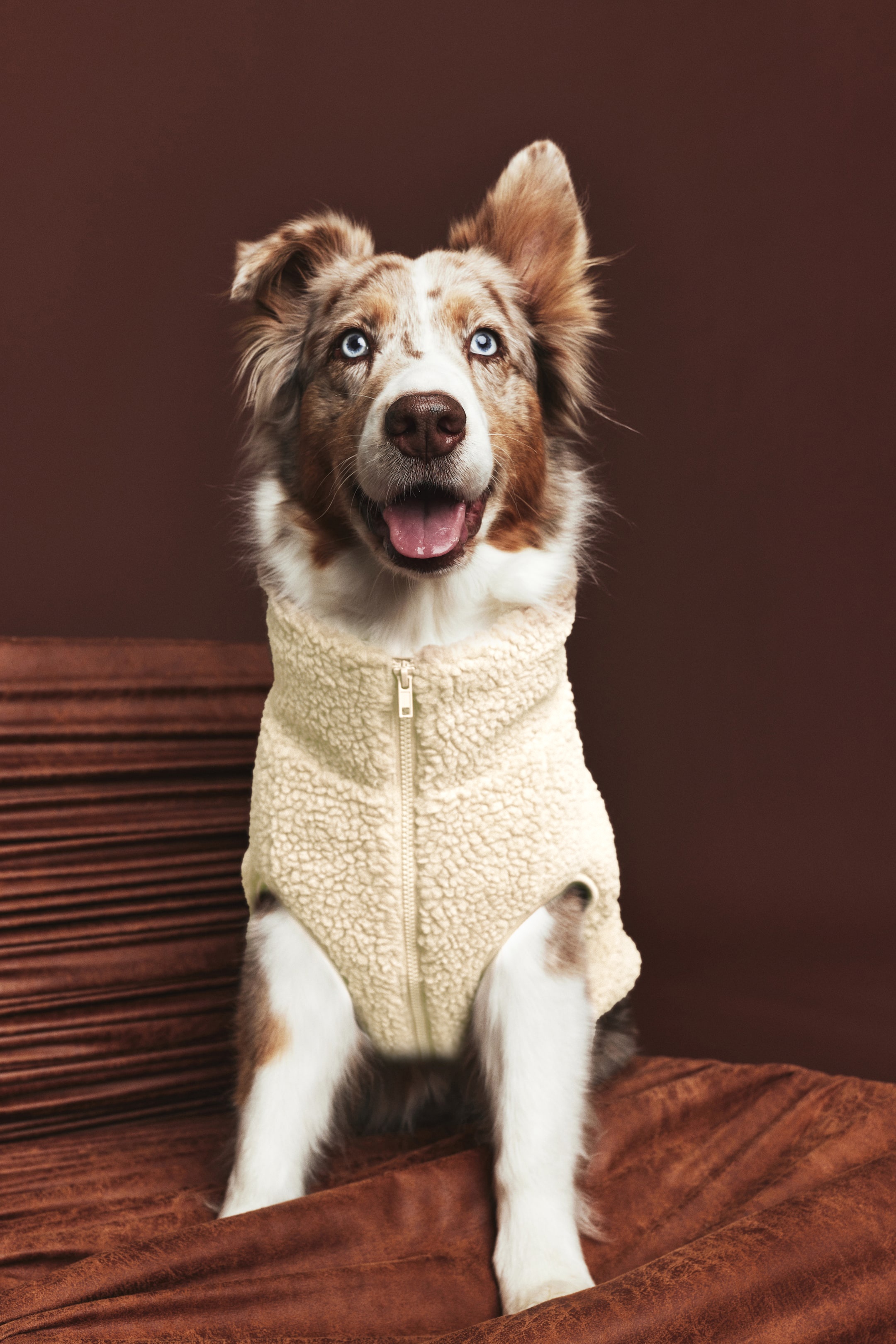 Teddy Fleece Dog Jacket (Buy 2 Free Shipping)