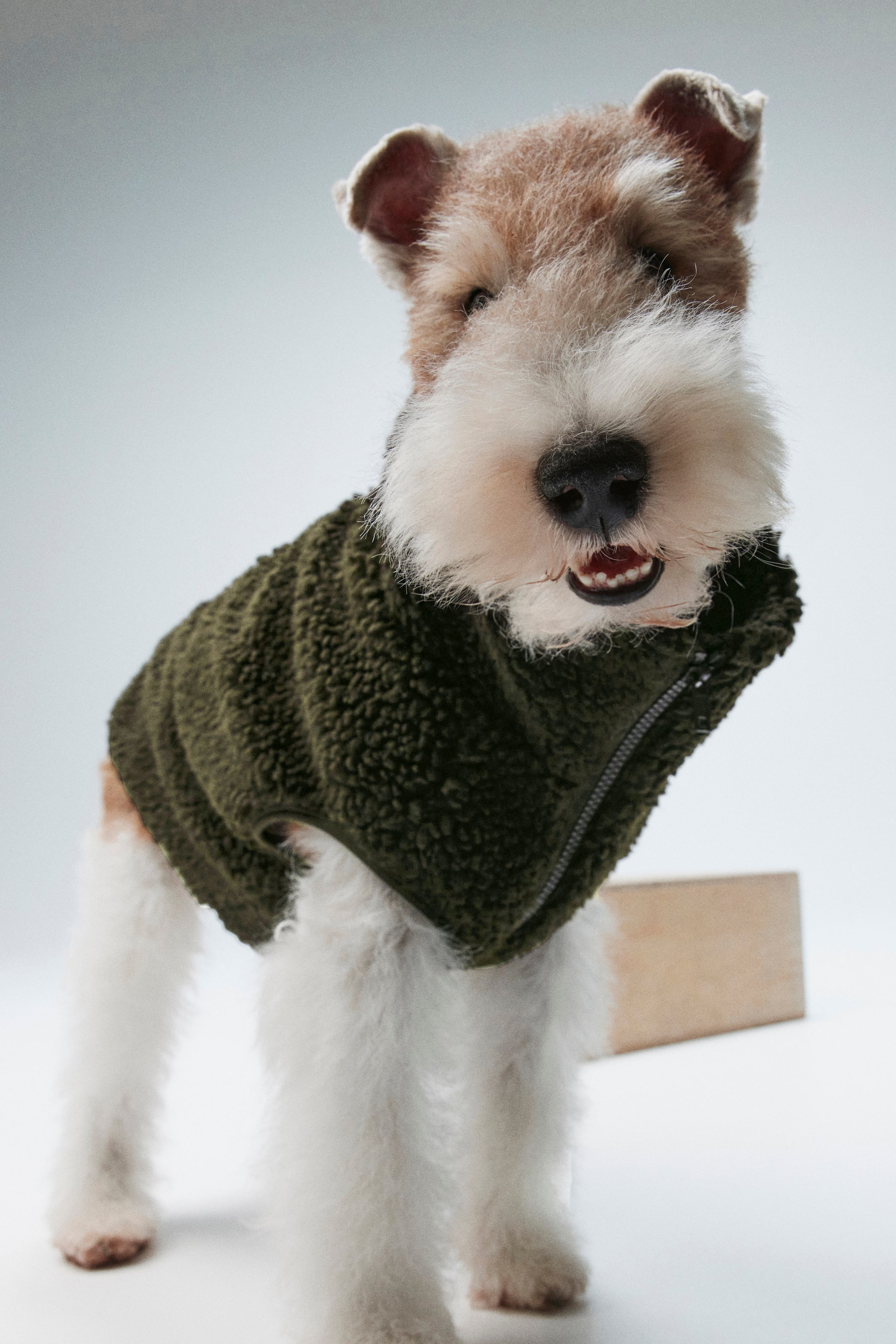 Teddy Fleece Dog Jacket (Buy 2 Free Shipping)