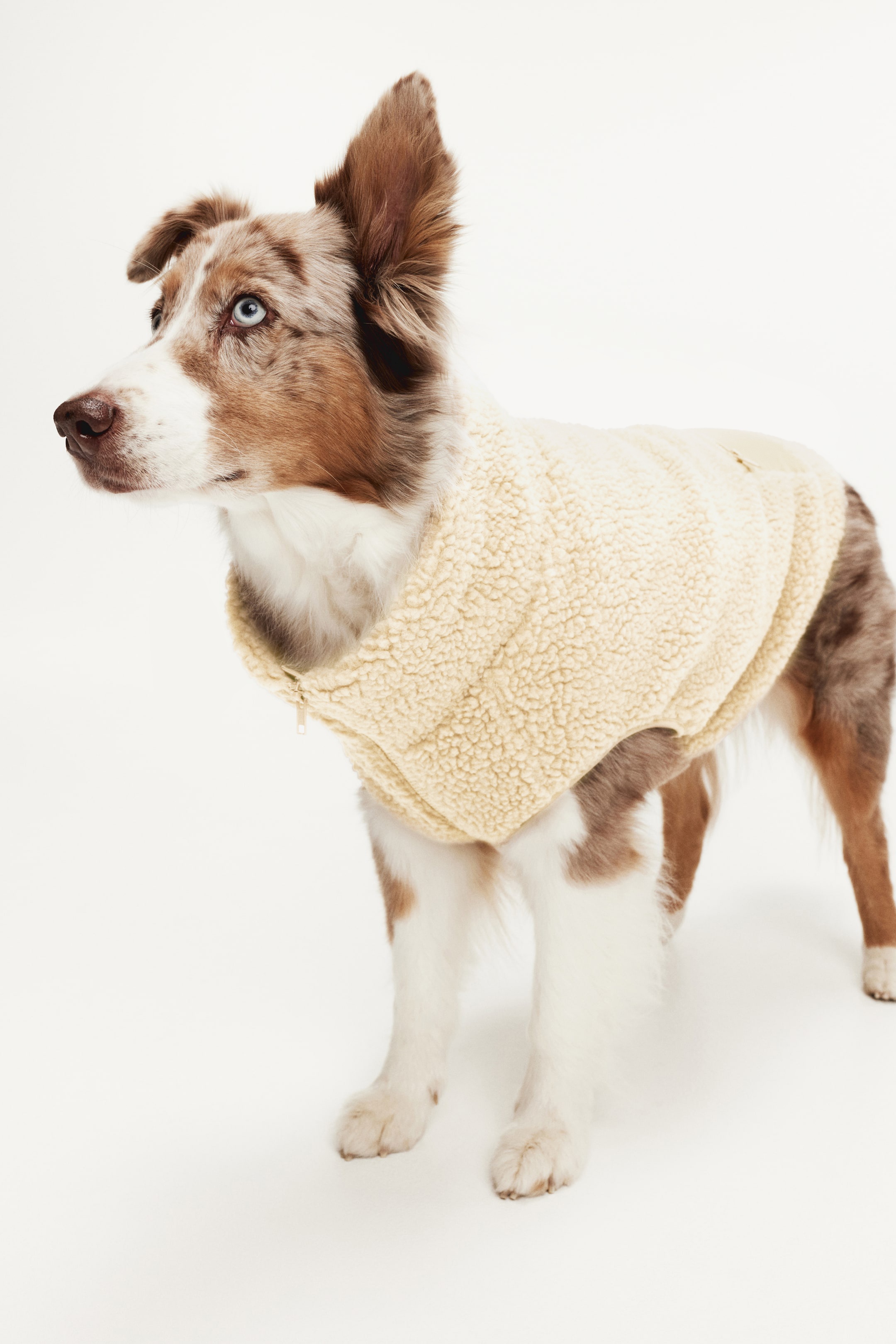Teddy Fleece Dog Jacket (Buy 2 Free Shipping)