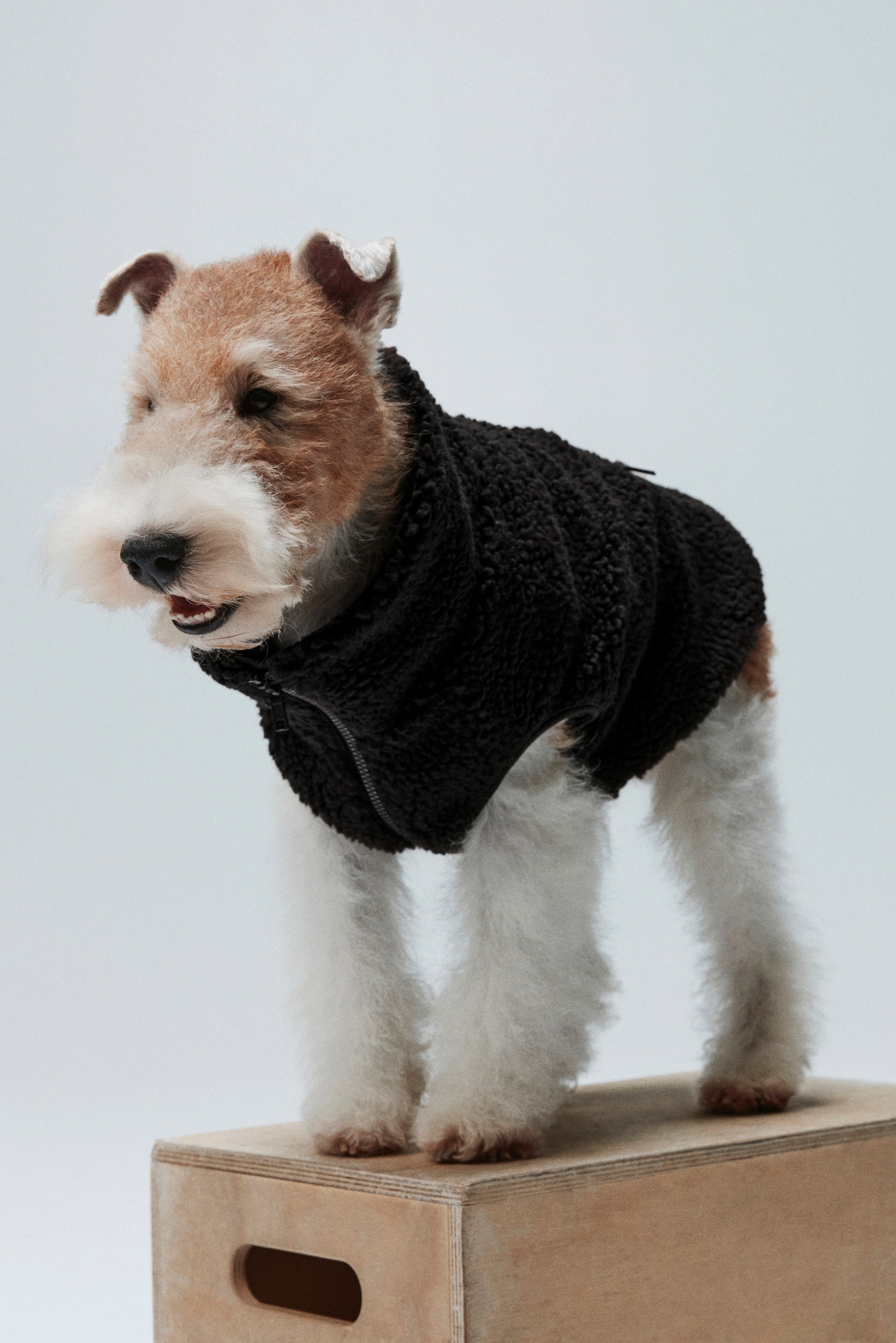 Teddy Fleece Dog Jacket (Buy 2 Free Shipping)