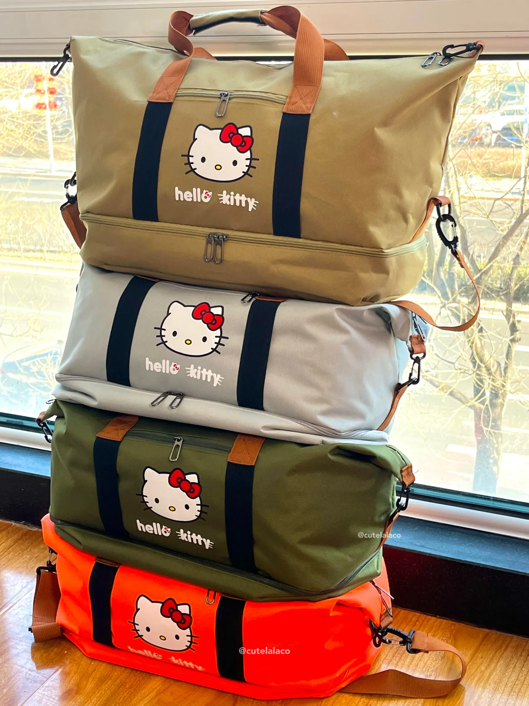 HK Travel Bag - Large Capacity Cartoon Luggage Bag, Shoulder & Crossbody Bag | Wet & Dry Separation Tote