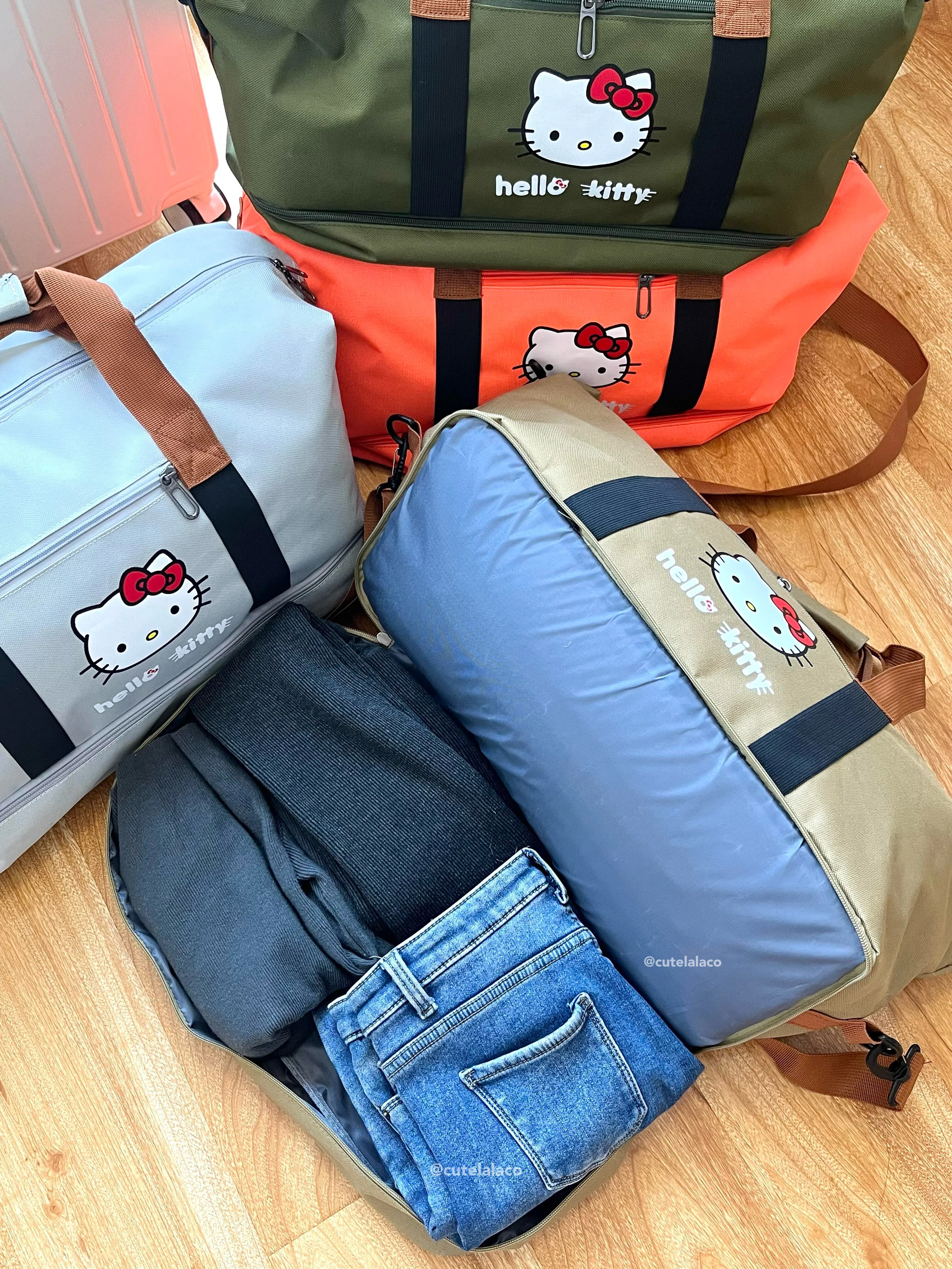 HK Travel Bag - Large Capacity Cartoon Luggage Bag, Shoulder & Crossbody Bag | Wet & Dry Separation Tote