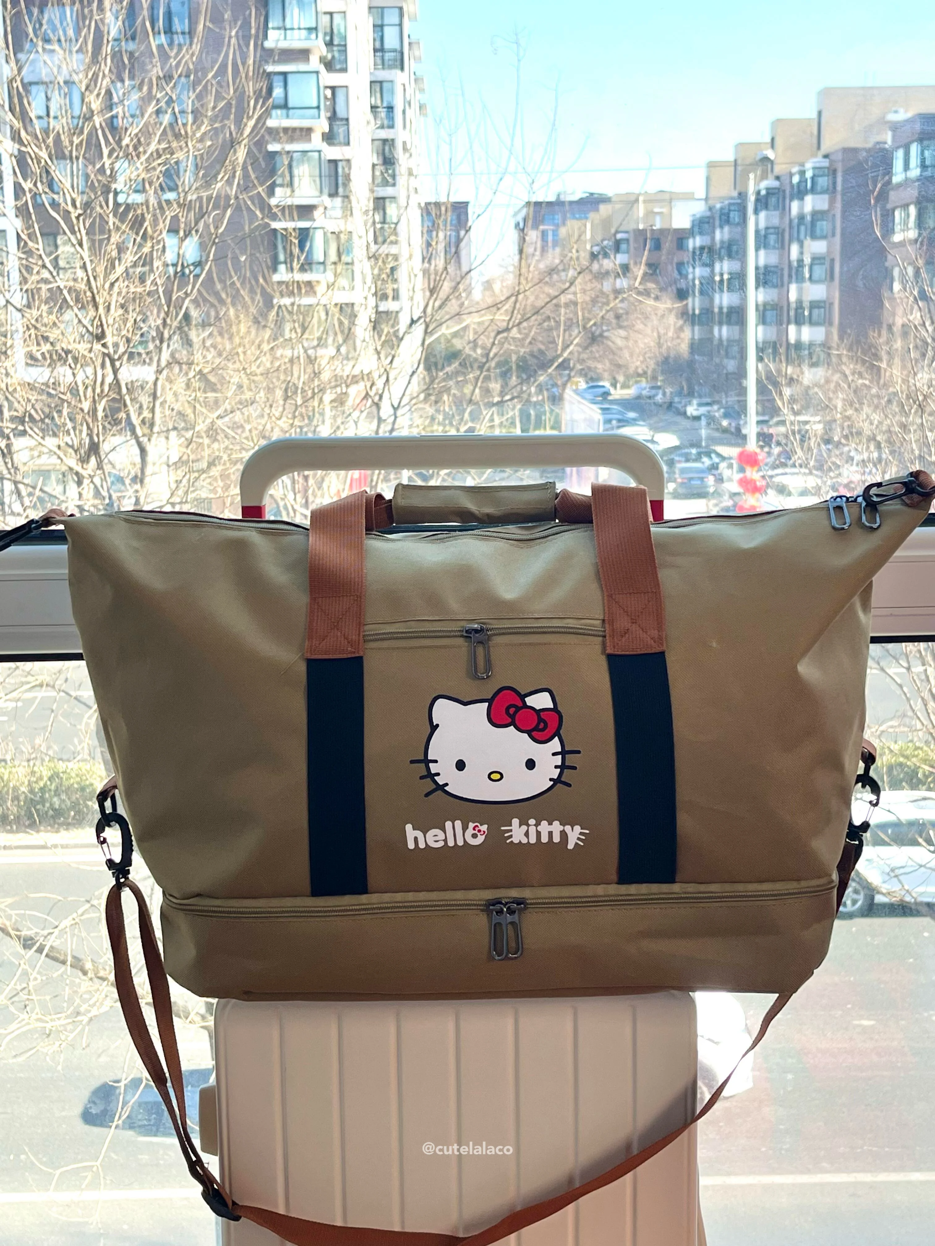 HK Travel Bag - Large Capacity Cartoon Luggage Bag, Shoulder & Crossbody Bag | Wet & Dry Separation Tote