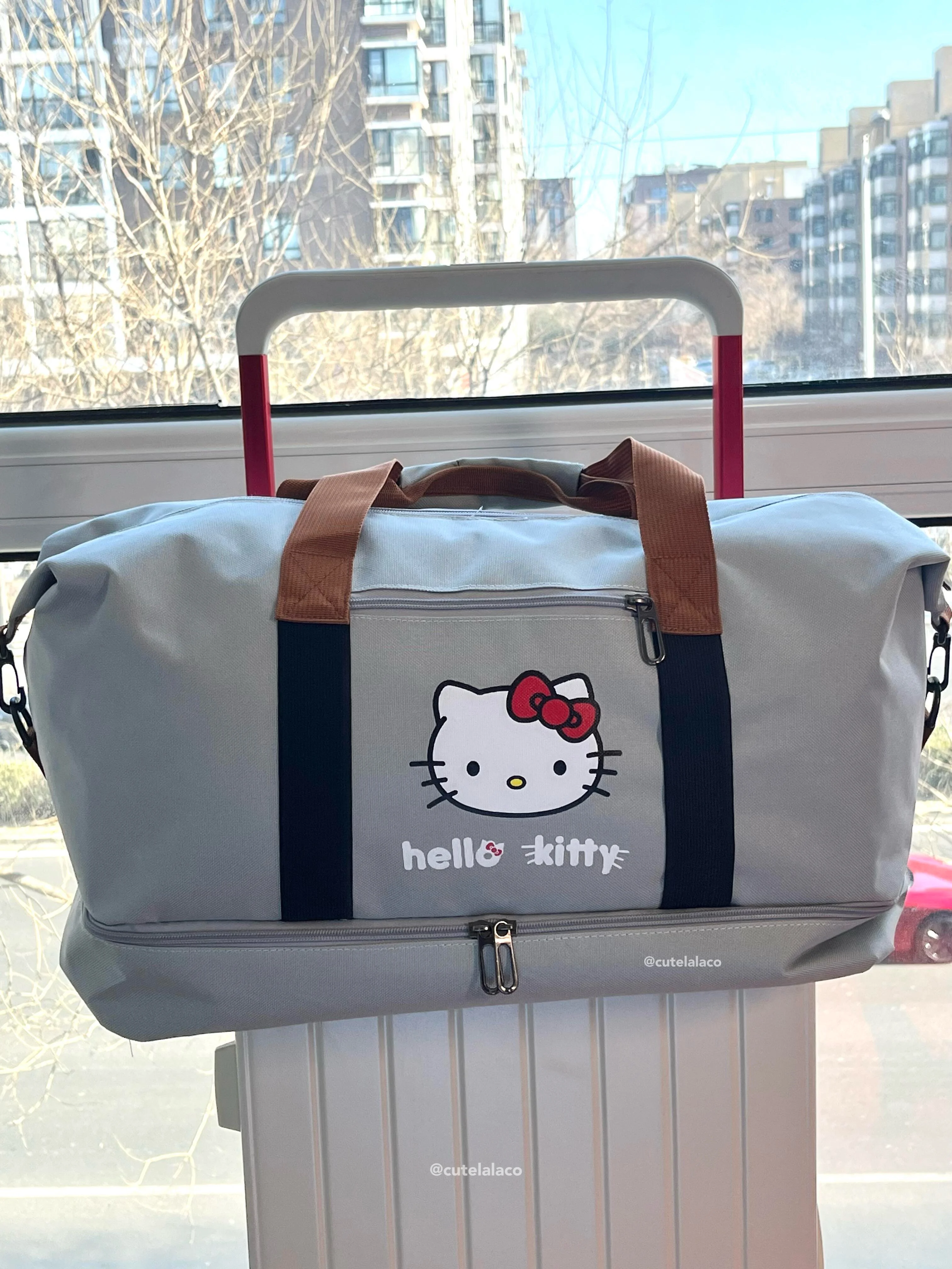 HK Travel Bag - Large Capacity Cartoon Luggage Bag, Shoulder & Crossbody Bag | Wet & Dry Separation Tote