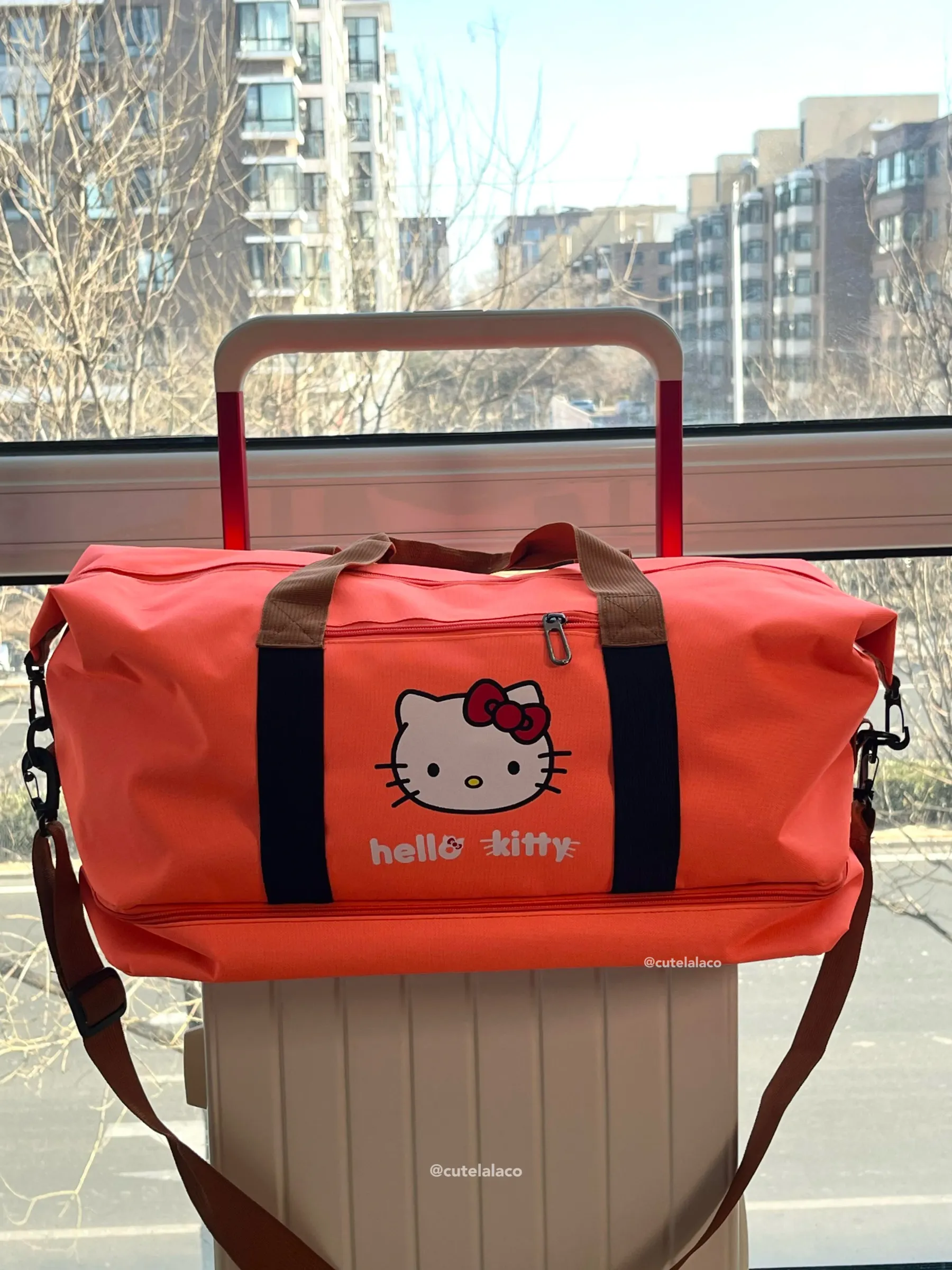 HK Travel Bag - Large Capacity Cartoon Luggage Bag, Shoulder & Crossbody Bag | Wet & Dry Separation Tote