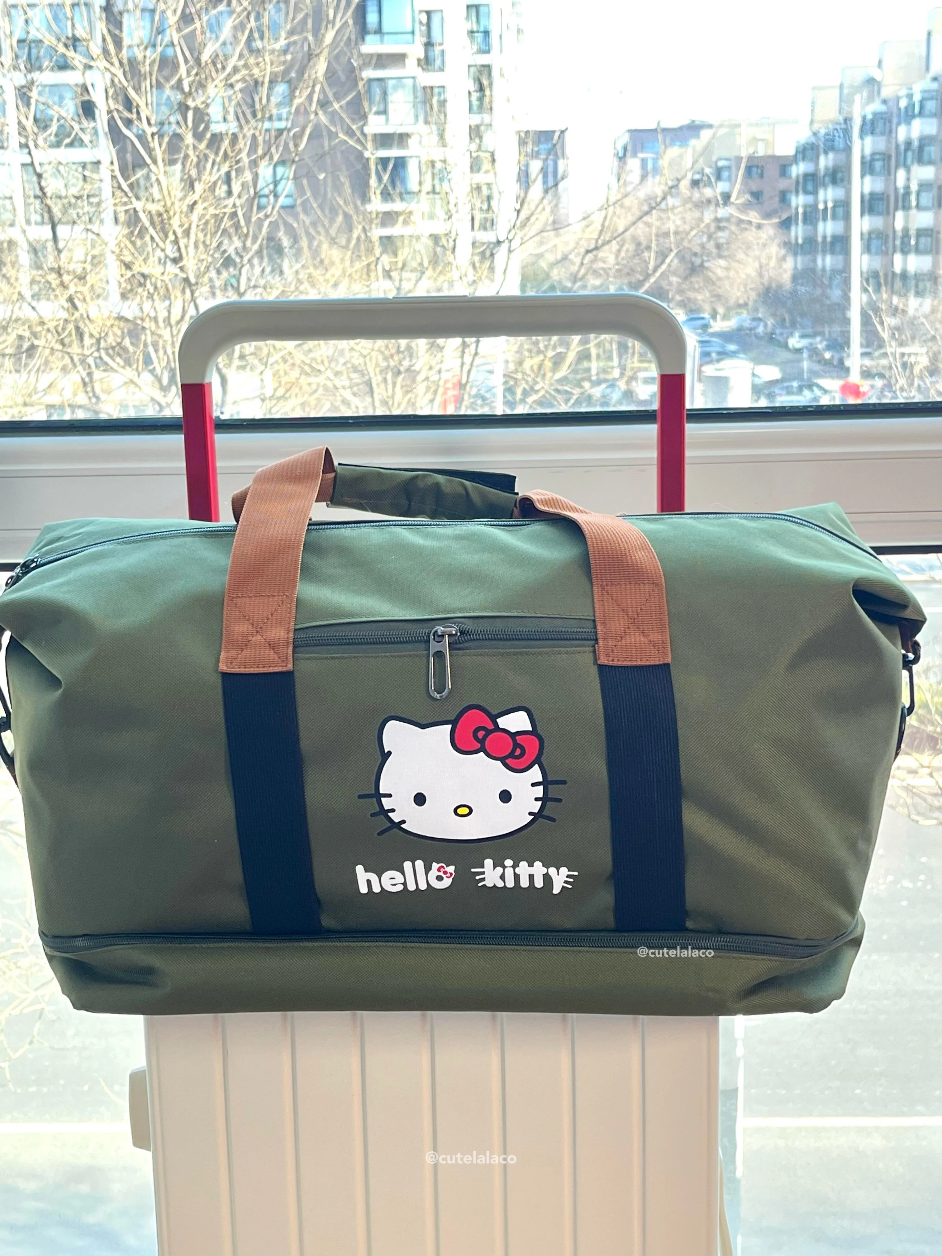 HK Travel Bag - Large Capacity Cartoon Luggage Bag, Shoulder & Crossbody Bag | Wet & Dry Separation Tote