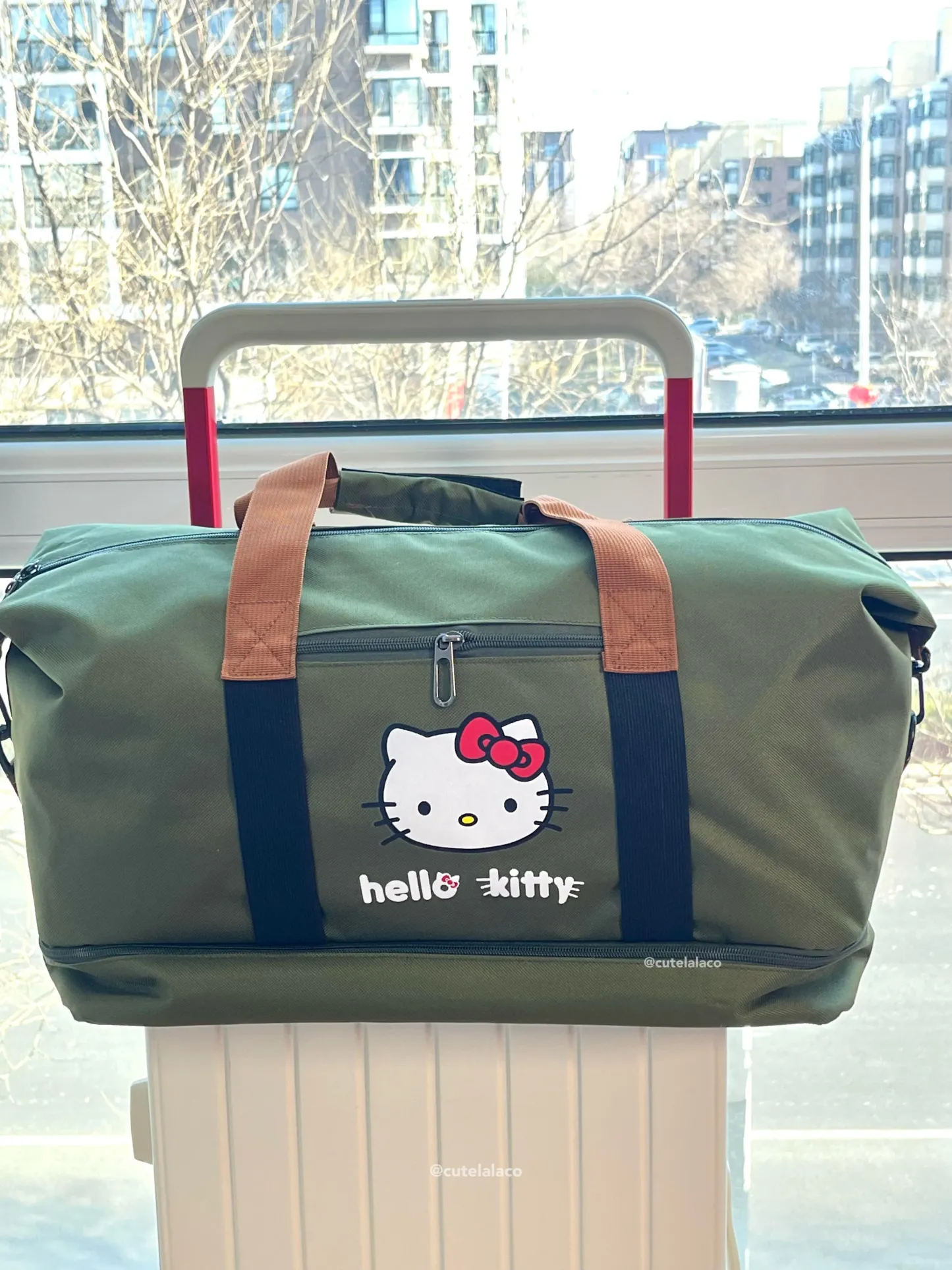 HK Travel Bag - Large Capacity Cartoon Luggage Bag, Shoulder & Crossbody Bag | Wet & Dry Separation Tote