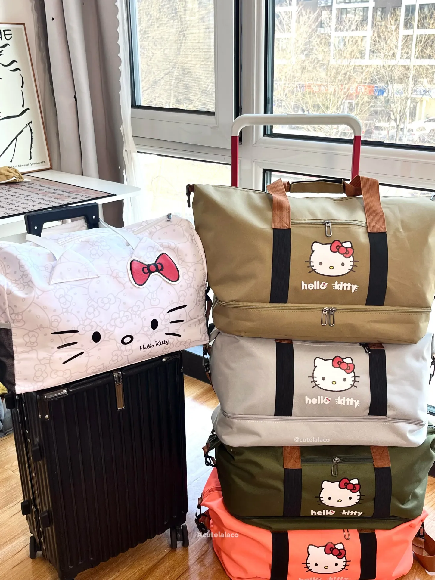 HK Travel Bag - Large Capacity Cartoon Luggage Bag, Shoulder & Crossbody Bag | Wet & Dry Separation Tote