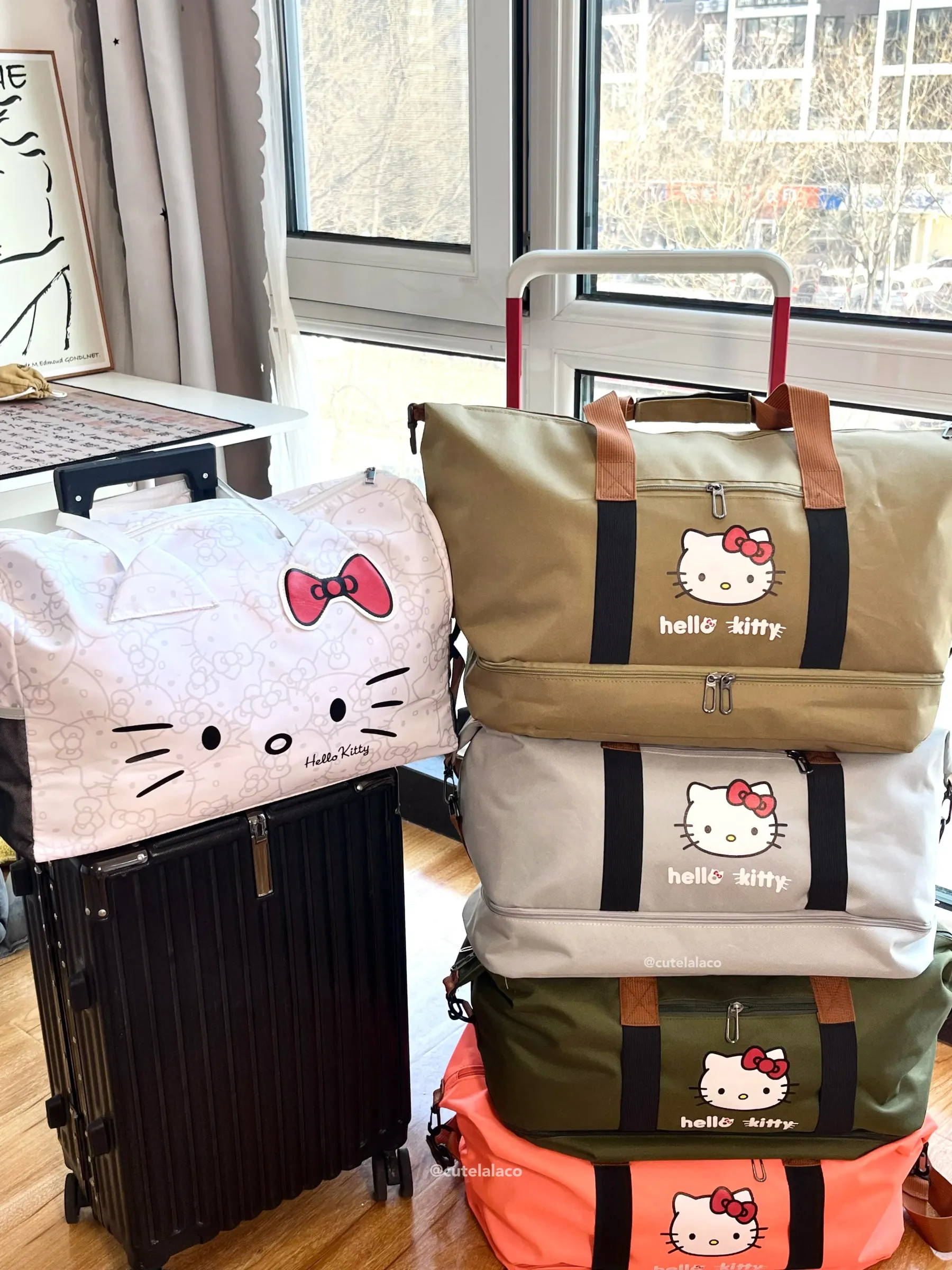 HK Travel Bag - Large Capacity Cartoon Luggage Bag, Shoulder & Crossbody Bag | Wet & Dry Separation Tote