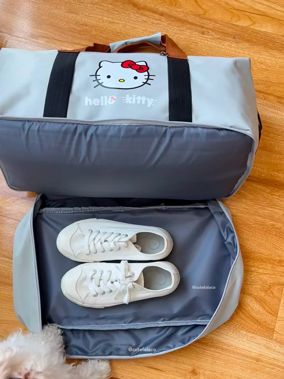 HK Travel Bag - Large Capacity Cartoon Luggage Bag, Shoulder & Crossbody Bag | Wet & Dry Separation Tote