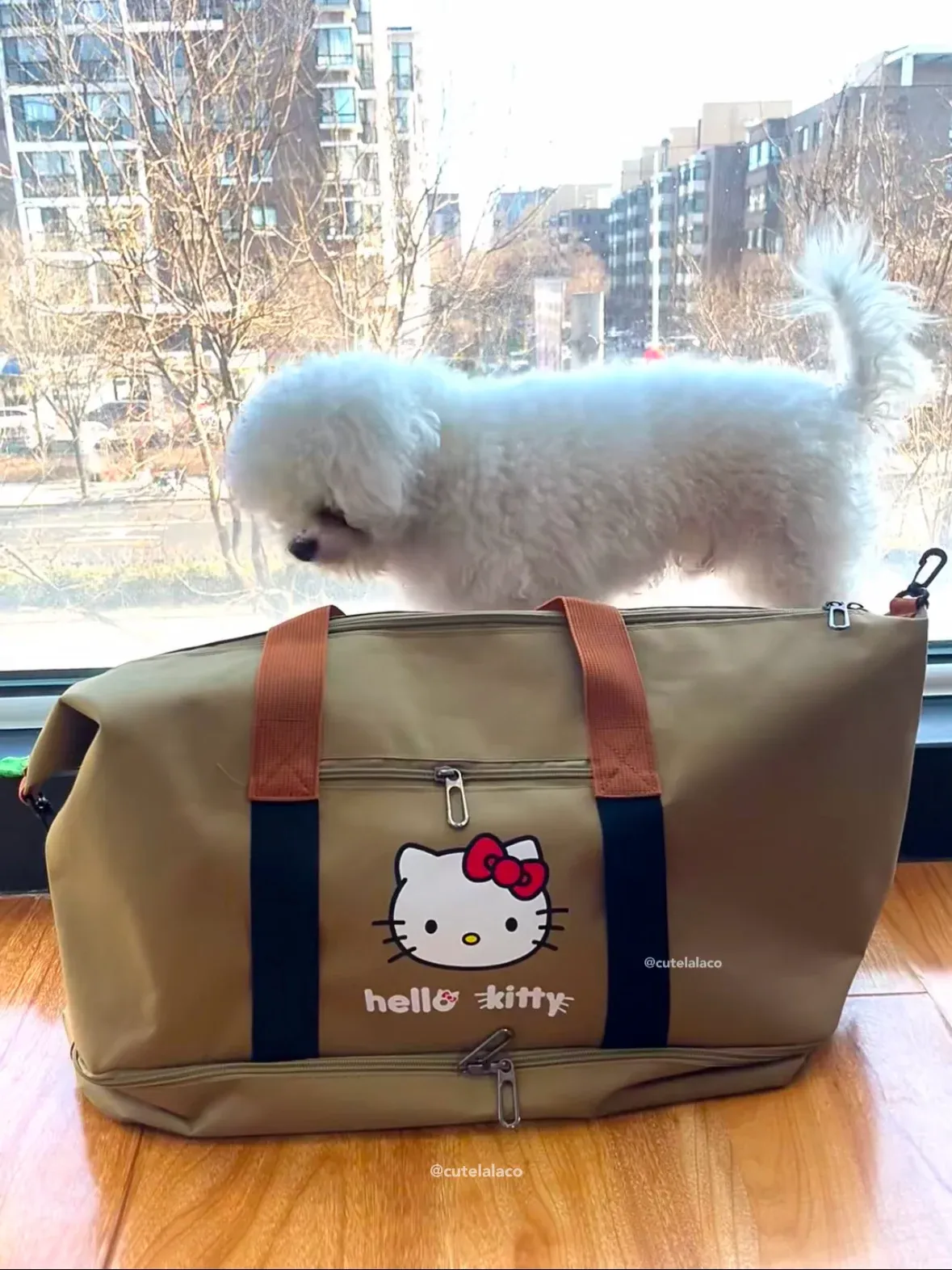 HK Travel Bag - Large Capacity Cartoon Luggage Bag, Shoulder & Crossbody Bag | Wet & Dry Separation Tote