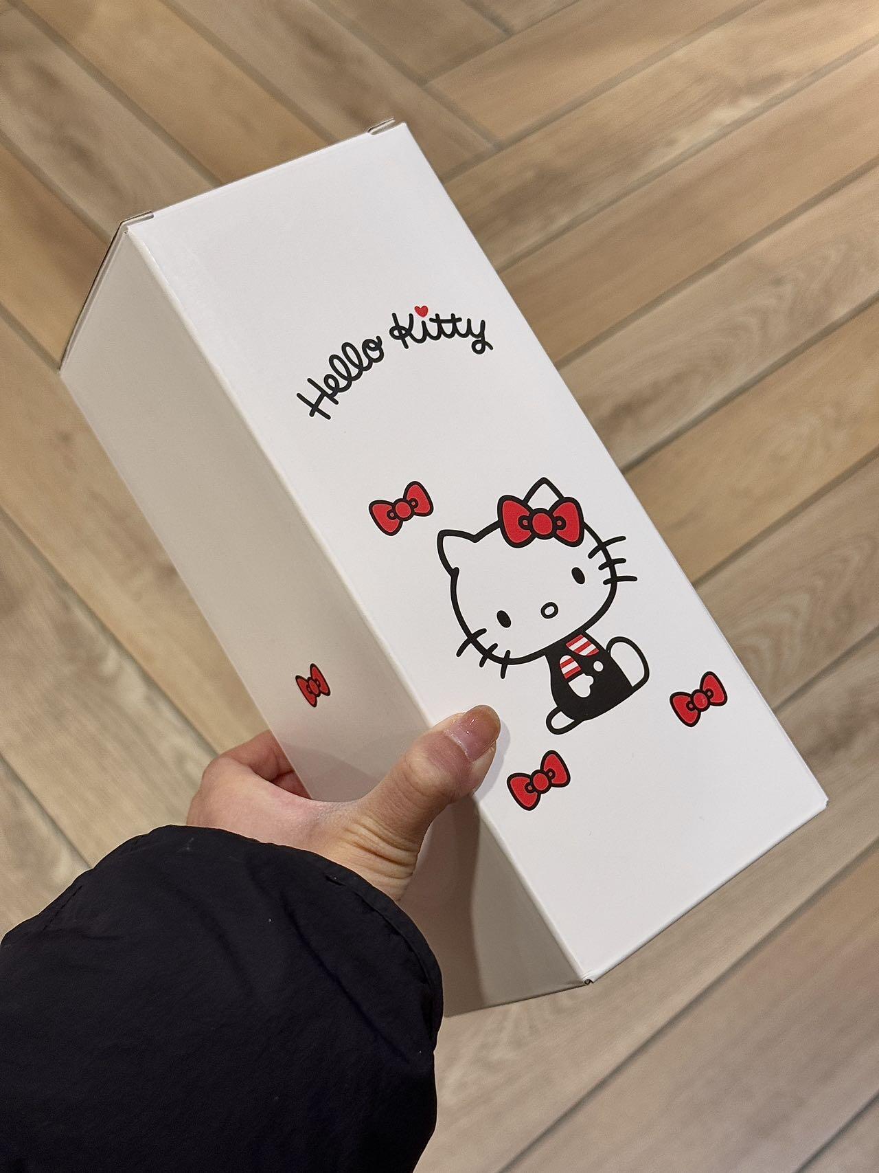 Sanrio 18oz Tumbler Stainless Steel Vacuum Insulated Coffee Travel Mug with Lid Thermal Cup for Outdoor