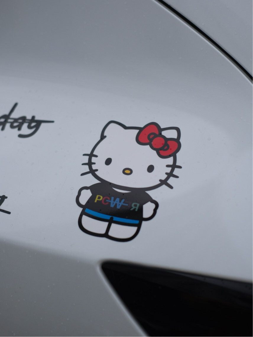 Realistic Plush HK Car & Luggage Decorative Stickers 03250617