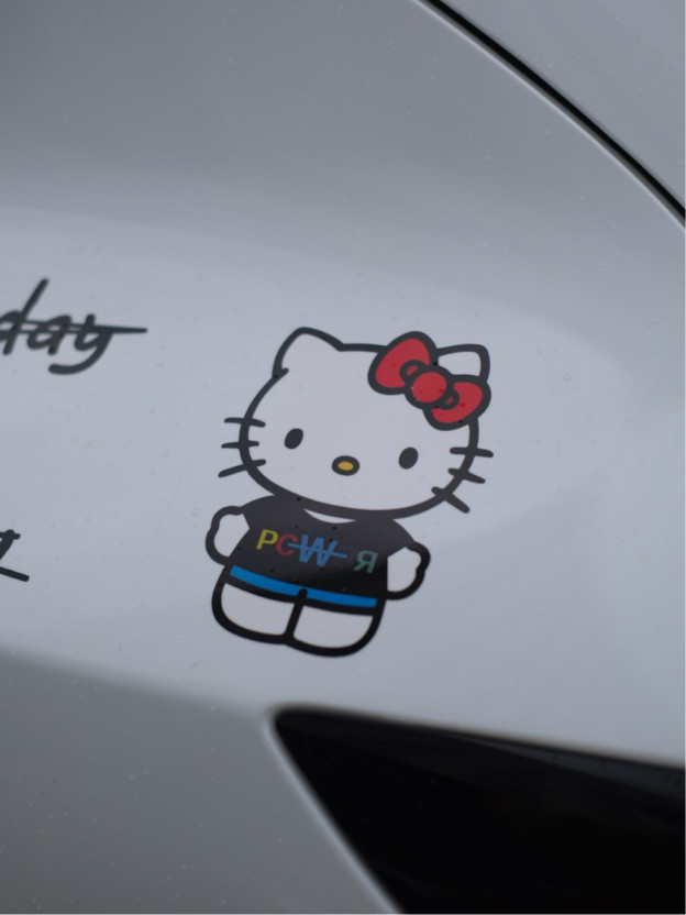 Realistic Plush HK Car & Luggage Decorative Stickers 03250617