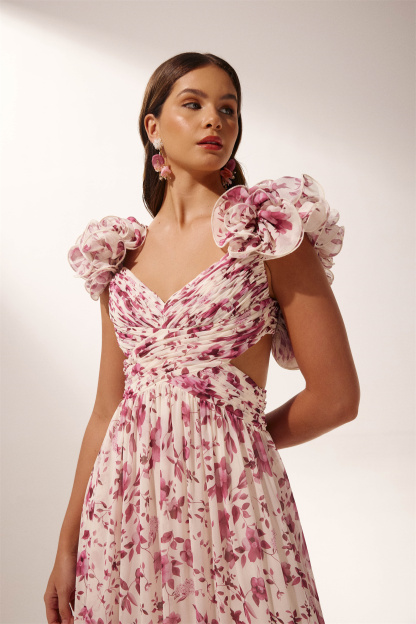 Alania Printed Ruffle Lace Up Maxi Dress