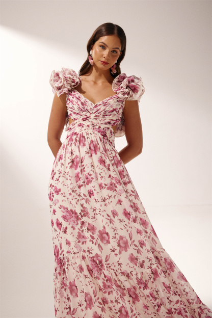 Alania Printed Ruffle Lace Up Maxi Dress