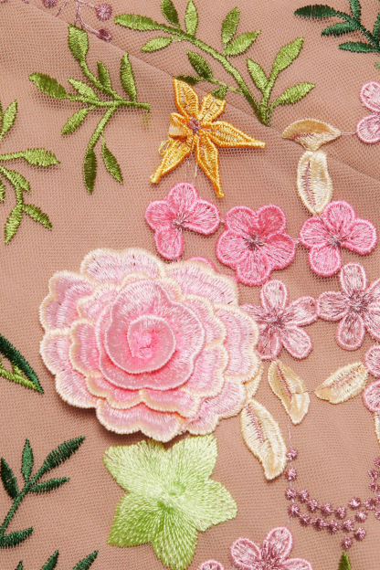 Lara Floral Applique Long Sleeve Maxi Dress