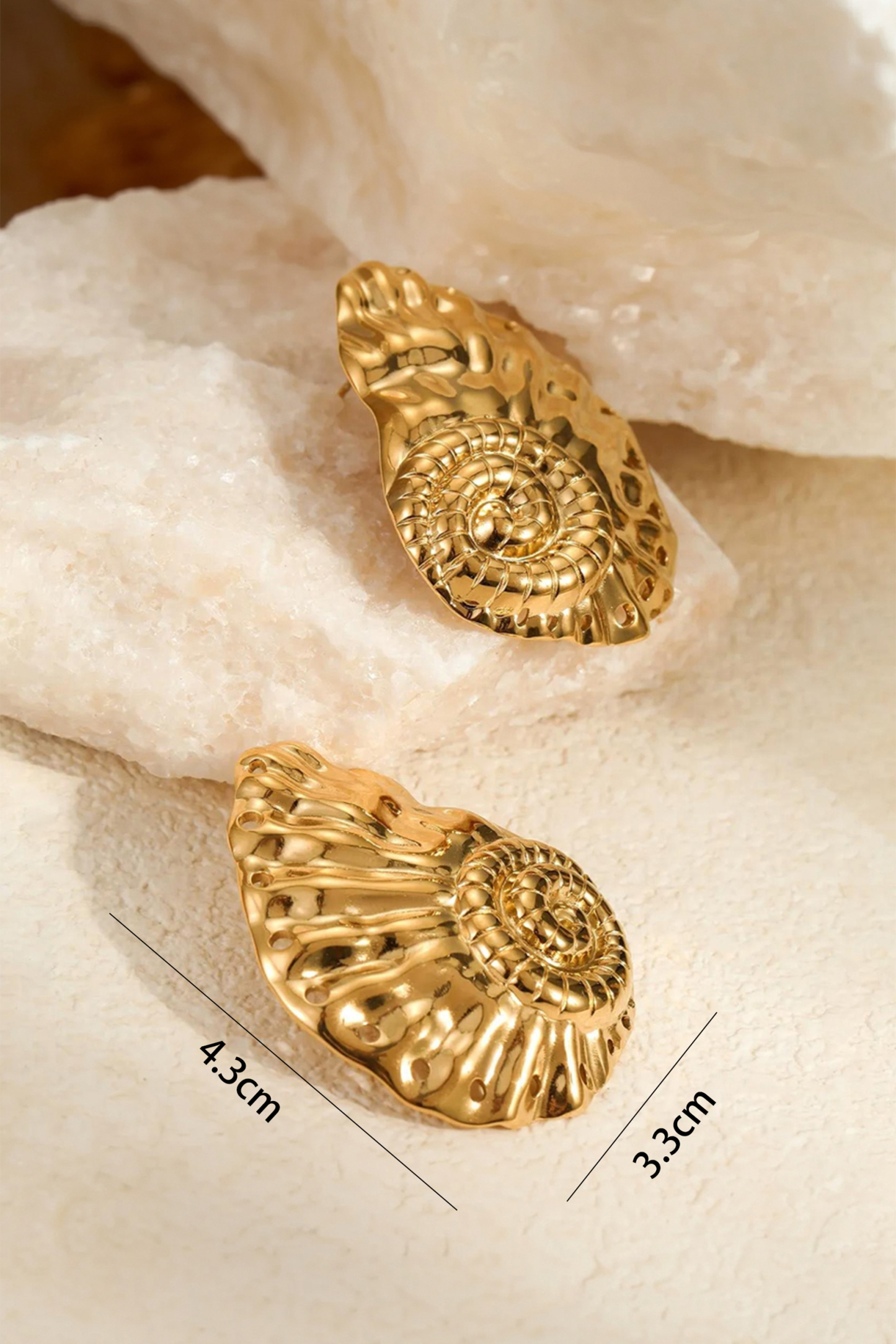 Seashell Stud Earrings