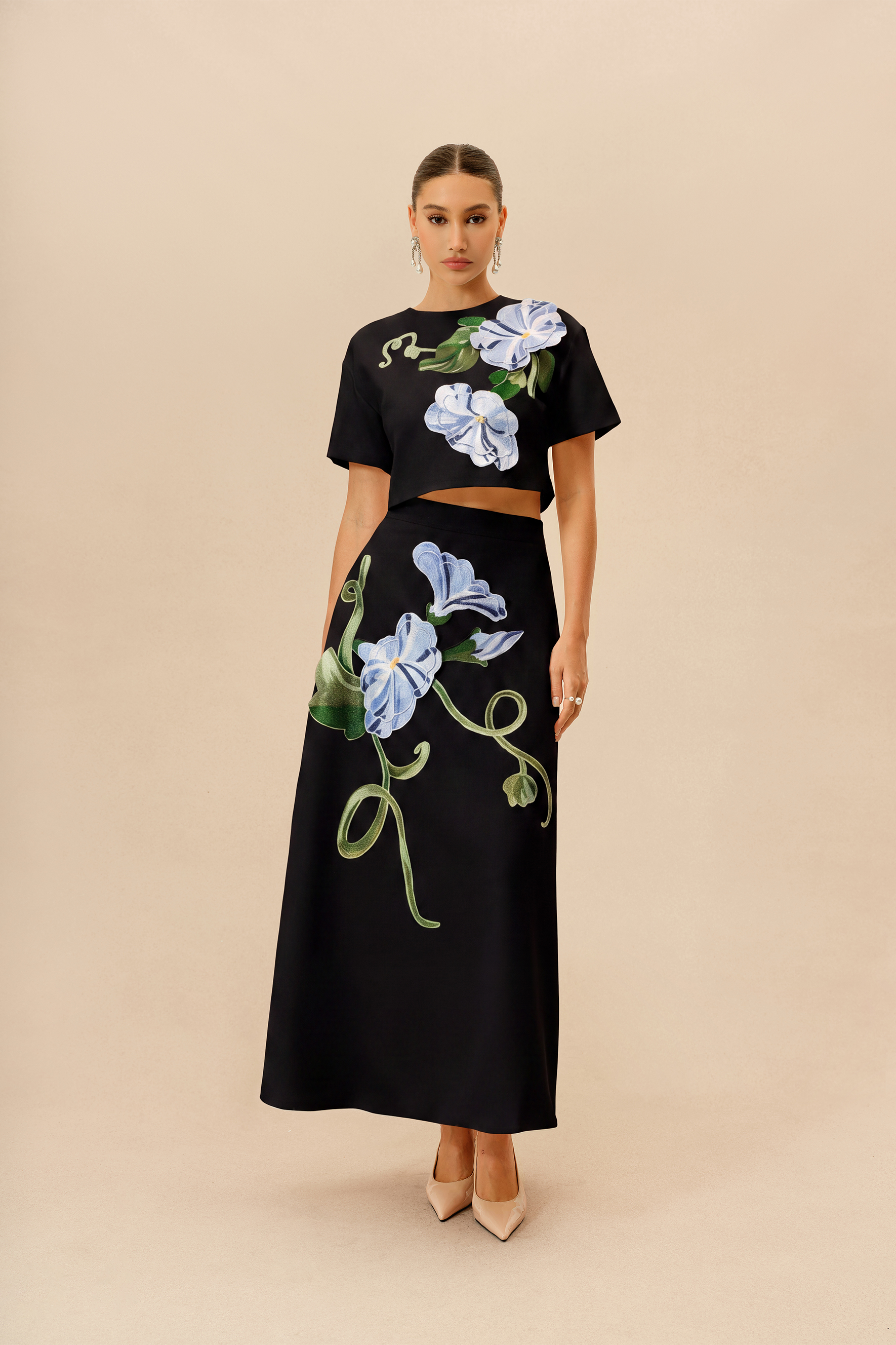 Enchanted Garden Black Floral Applique Cropped Top & Maxi Skirt Set