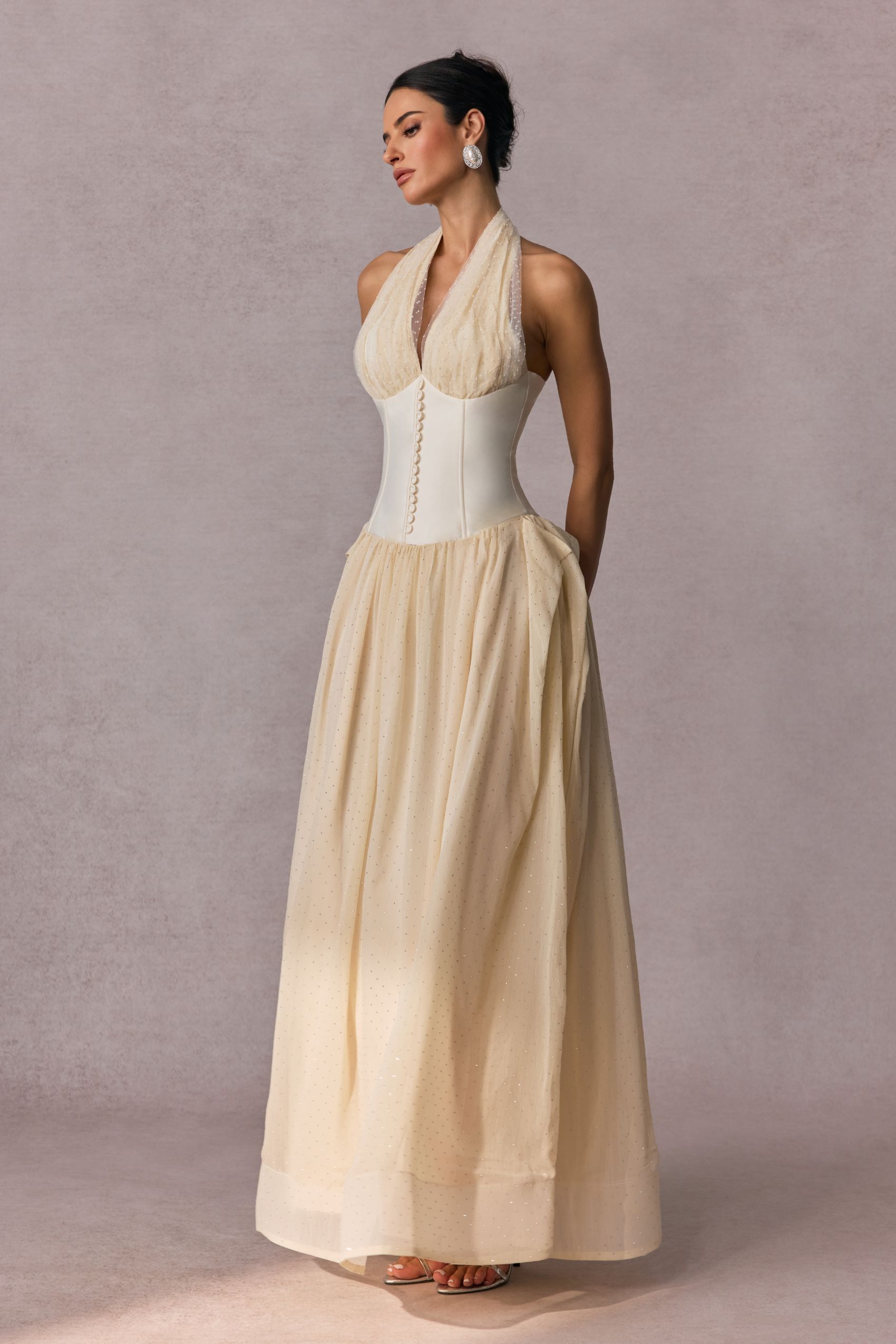Vivien Halterneck Tulle Overlay Maxi Dress