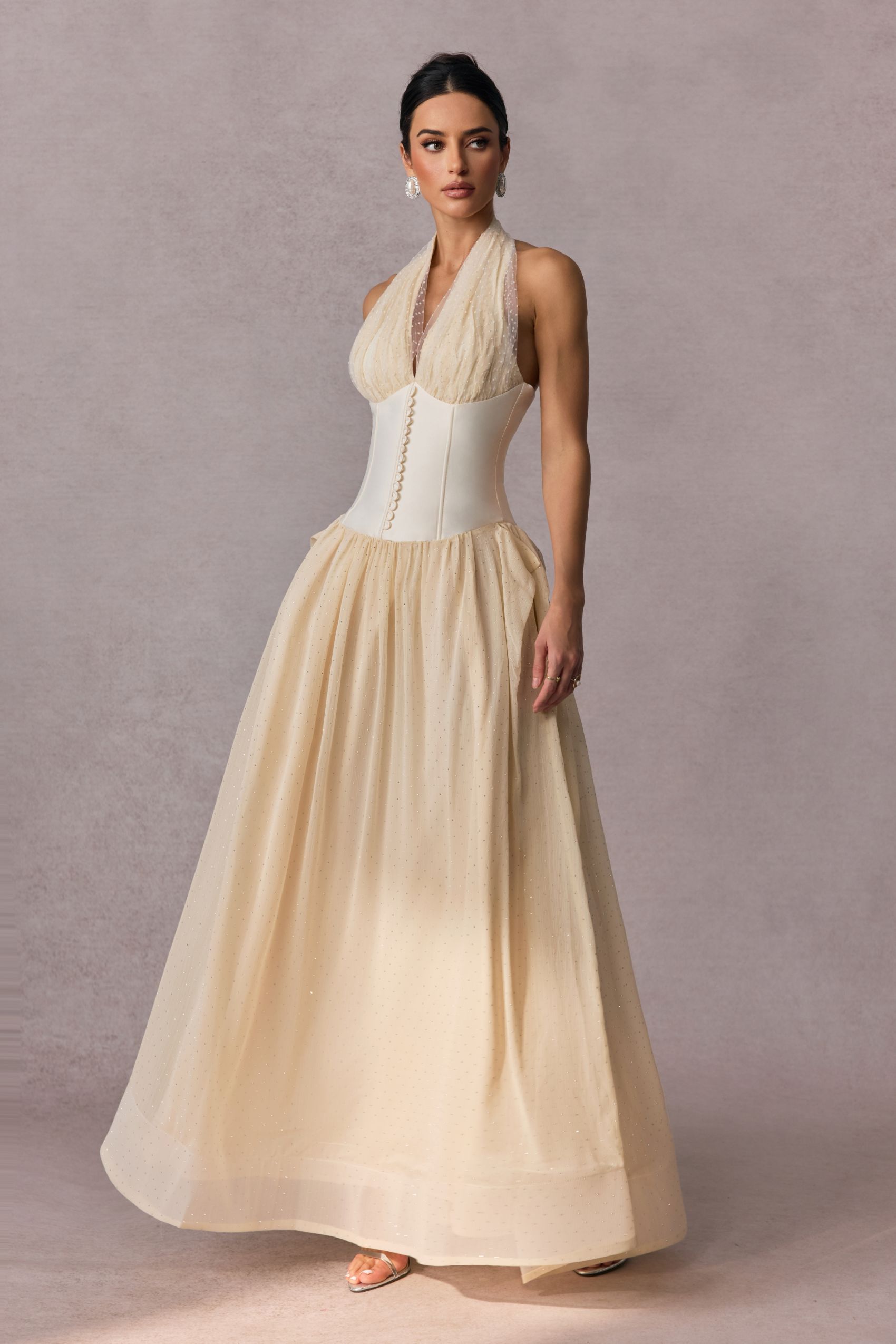 Vivien Halterneck Tulle Overlay Maxi Dress